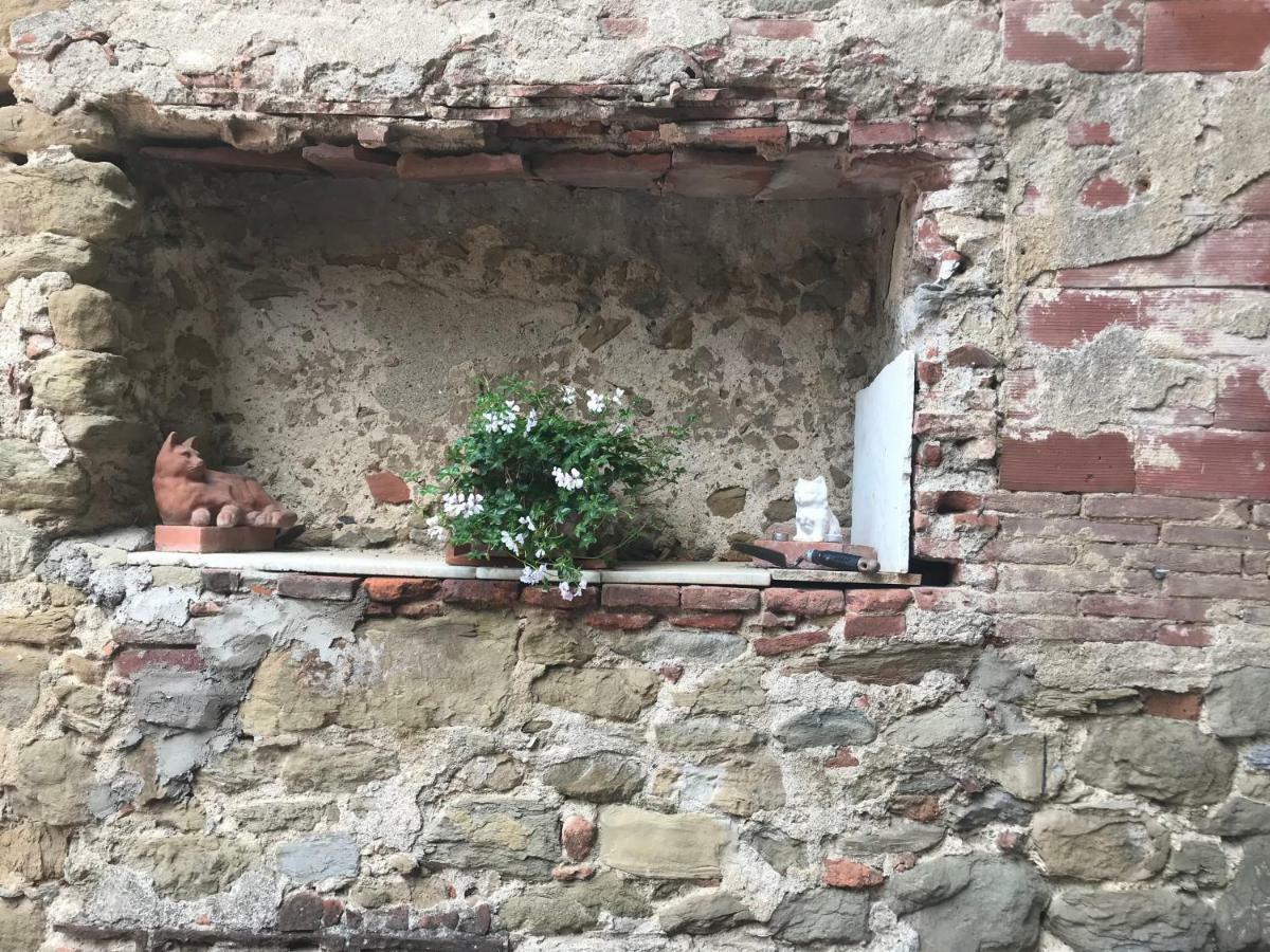 Camera E Appartamento Toscana - B&B Palazzo Robicci Castiglion Fiorentino Exterior foto